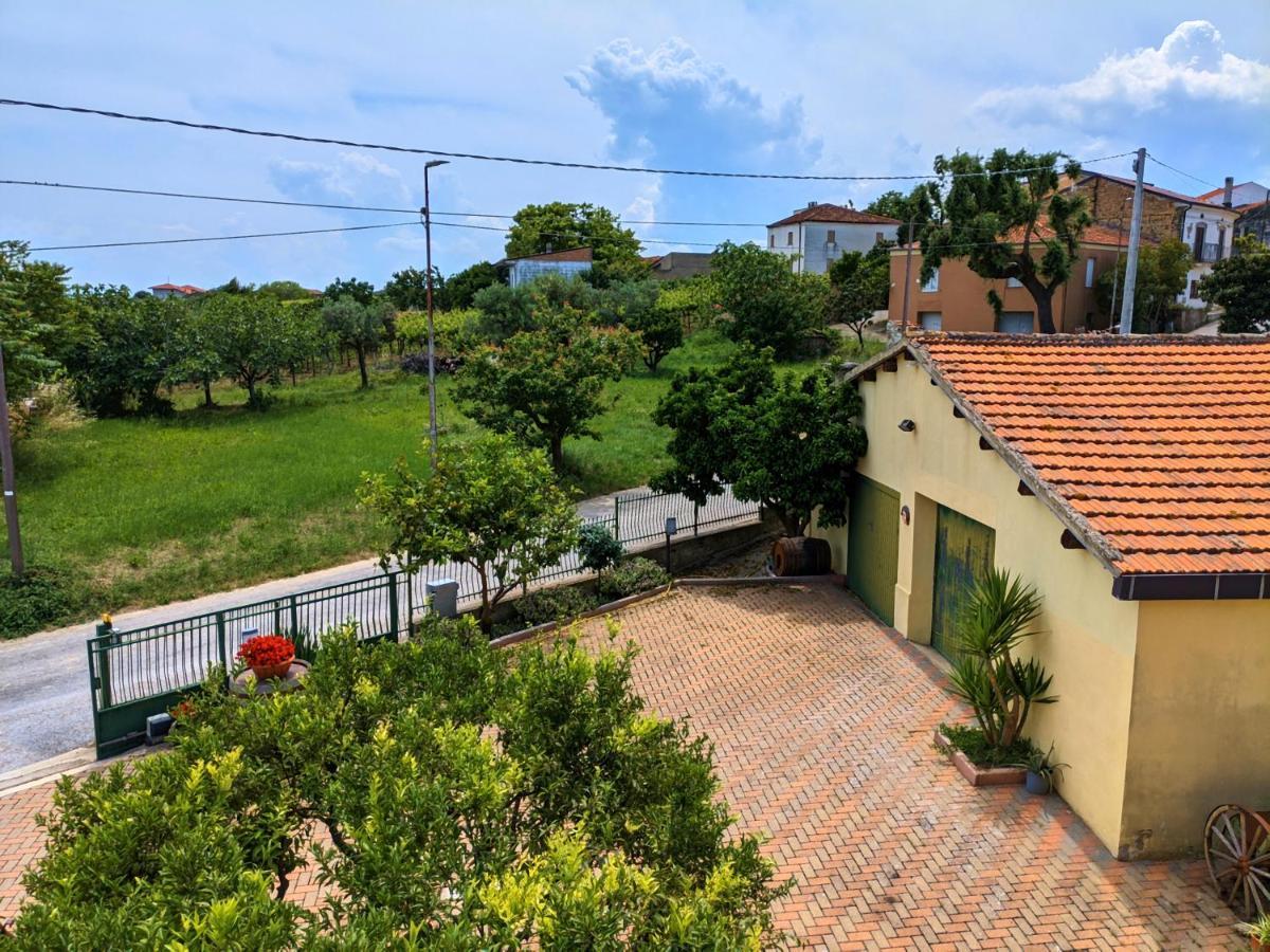 La Casa Del Vino - B&B Tollo Esterno foto